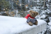 Zullen pluche knuffels ooit nog verdwijnen?