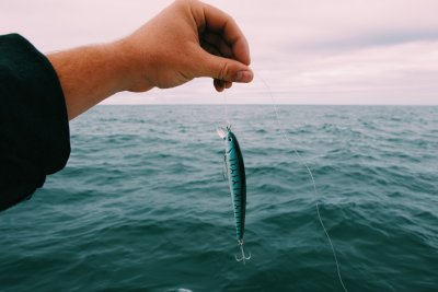 De kunst van aas: het geheim van vissen met boilies en krill boilies